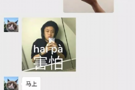 陕西企业清欠服务